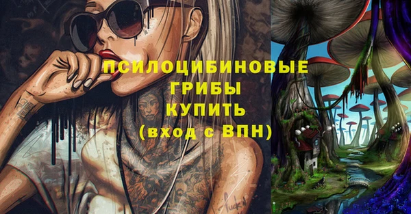 стафф Алексин