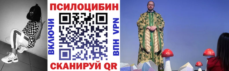 Псилоцибиновые грибы мицелий  Чапаевск 